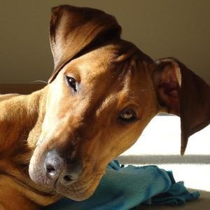 Meet your Posher, Kirsten